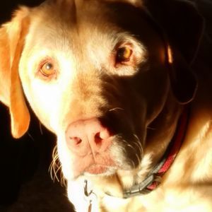 Meet your Posher, Beth